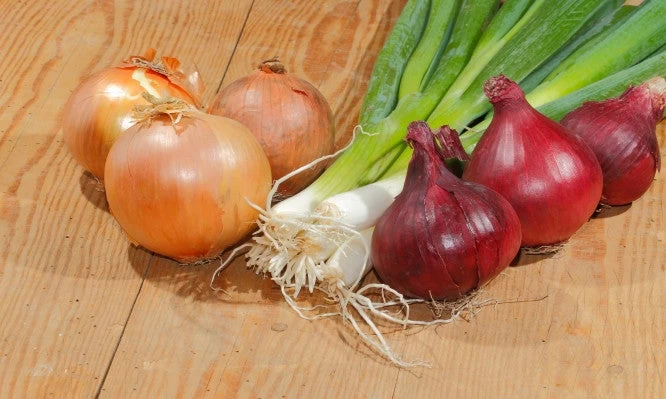 Κρεμμύδι: Οι 4 εναλλακτικές χρήσεις του που θα σας εντυπωσιάσουν!